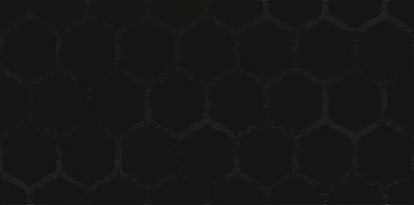  Grace Nero Inserto B производителя Ceramika Paradyz