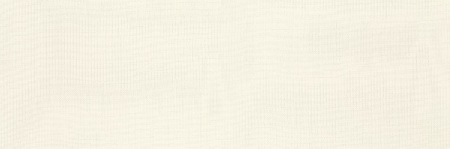  PURE CITY BIANCO STRUKTURA B 29,8X89,8 производителя Ceramika Paradyz