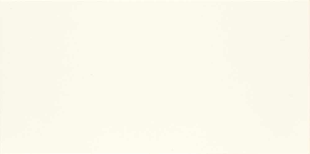  Fiori Bianco производителя Ceramika Paradyz